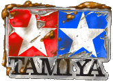 RC-Tamiya_logo